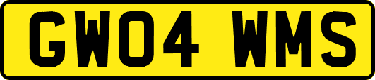 GW04WMS