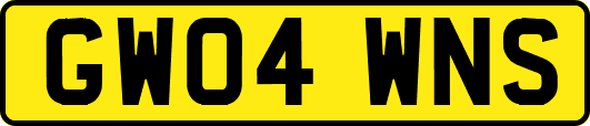 GW04WNS