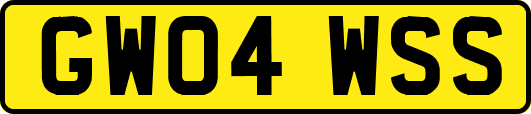 GW04WSS