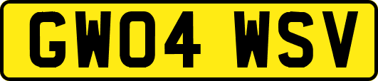 GW04WSV