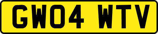 GW04WTV