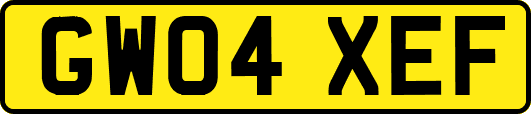 GW04XEF