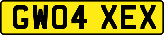 GW04XEX