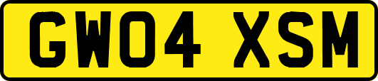 GW04XSM