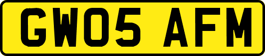 GW05AFM