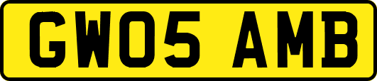 GW05AMB