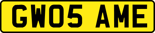 GW05AME