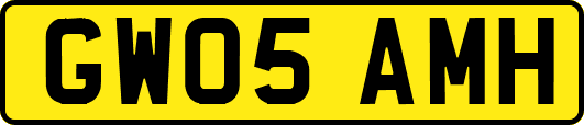GW05AMH