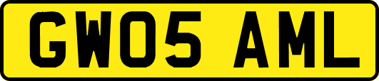 GW05AML