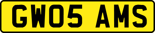 GW05AMS