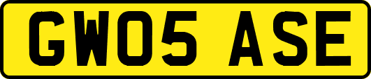 GW05ASE
