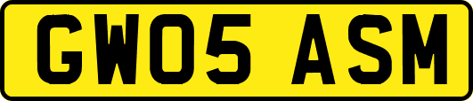GW05ASM