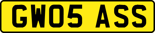 GW05ASS