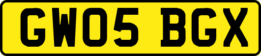 GW05BGX