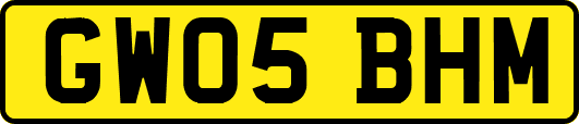 GW05BHM
