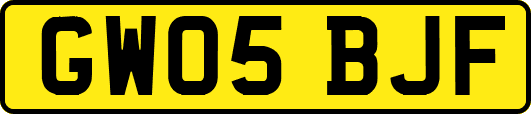 GW05BJF