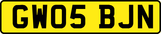 GW05BJN