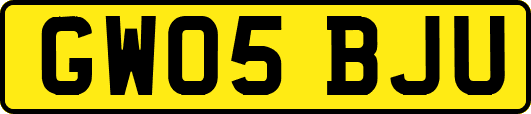 GW05BJU