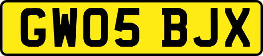 GW05BJX