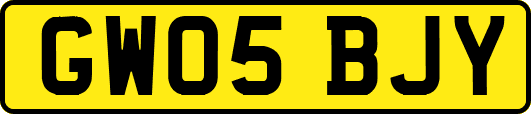 GW05BJY