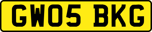 GW05BKG