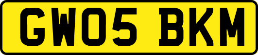 GW05BKM