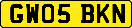 GW05BKN