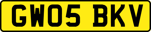 GW05BKV
