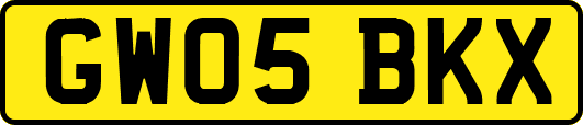 GW05BKX