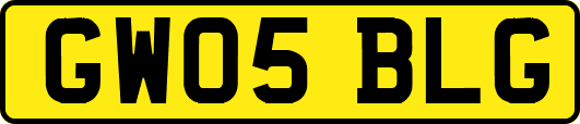 GW05BLG