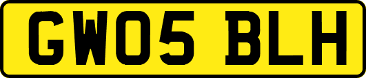 GW05BLH