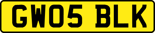 GW05BLK