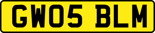 GW05BLM