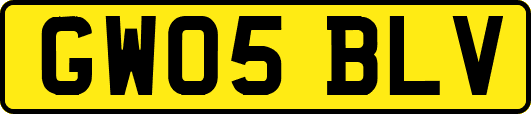GW05BLV
