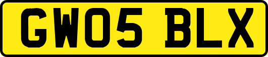 GW05BLX