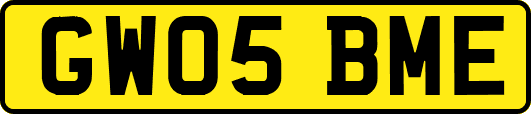 GW05BME