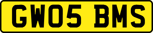 GW05BMS