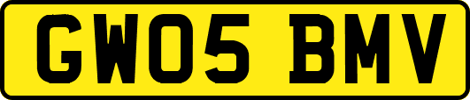 GW05BMV