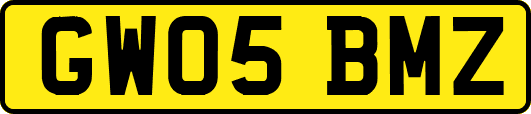 GW05BMZ
