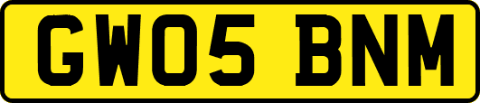 GW05BNM