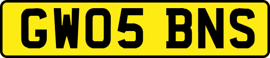 GW05BNS