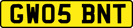 GW05BNT