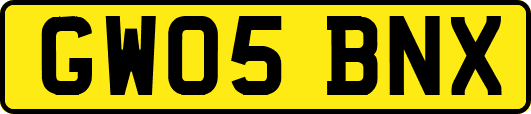 GW05BNX