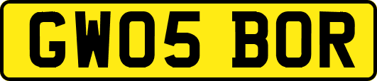 GW05BOR