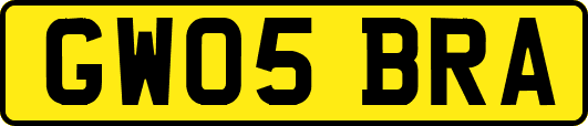 GW05BRA