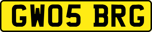 GW05BRG