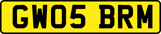 GW05BRM