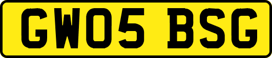 GW05BSG