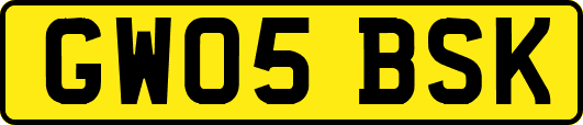 GW05BSK