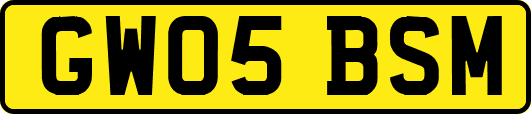 GW05BSM